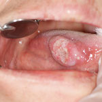 ページの先頭へ