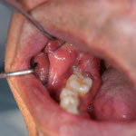 ページの先頭へ