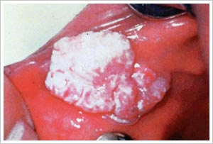 ページの先頭へ